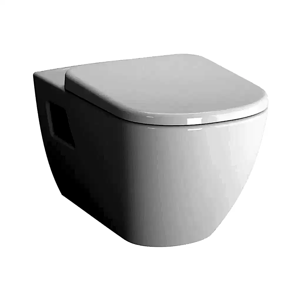 D-Light Rim-Ex Asma Klozet